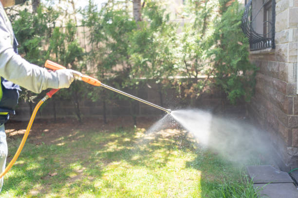 Best Commercial Pest Control  in Alamo, GA